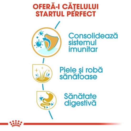 Royal Canin Shih Tzu Puppy – Hrană Uscată pentru Pui de Câine din Rasa Shih Tzu, 1,5 kg